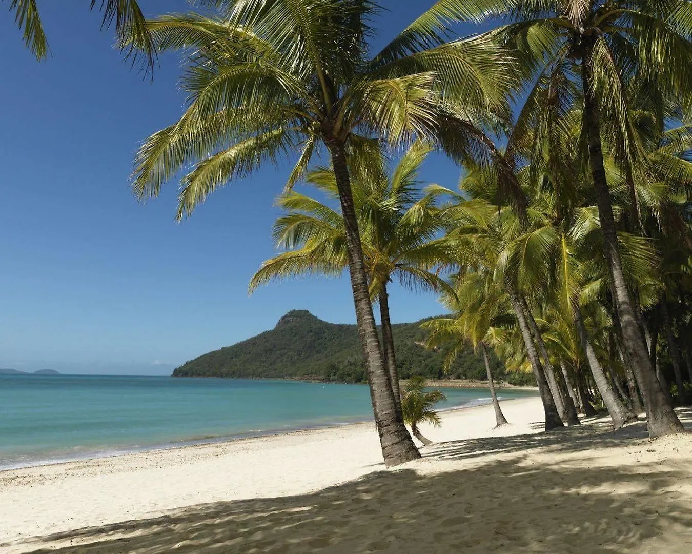 Palm Bungalows Hamilton Island